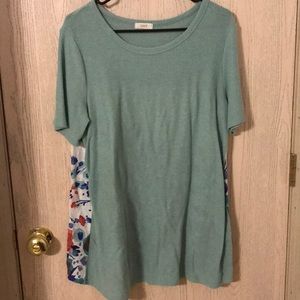 Watercolor back plus top